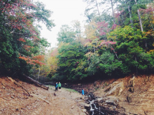 benton-mackaye-trail