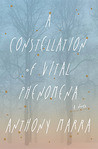 Constellation of Vital Phenomena by Anthony Marra