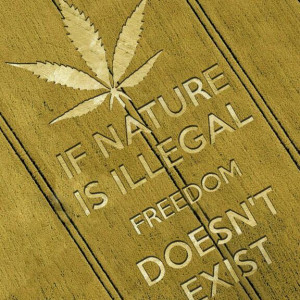 If Nature Is Illegal Freedom Doesn’t Exist