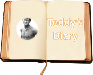 Teddy's Diary-cover.jpg