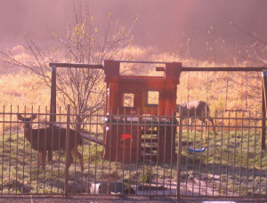 famous quotes pearl harbor