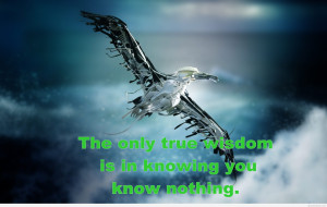 Flying bird wisdom quote with art