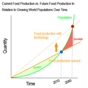 food-graph.gif