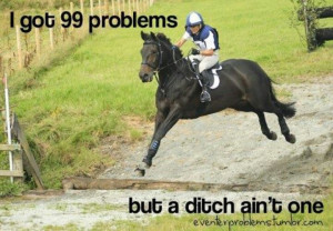 99 problems but a ditch ain't one