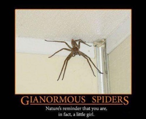 Gianormous spider