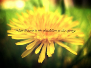 Mockingjay Quotes: Dandelion in the Spring