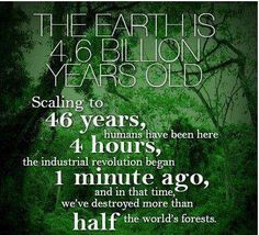 ... tropical rainforest disappear each day. If action is not taken now