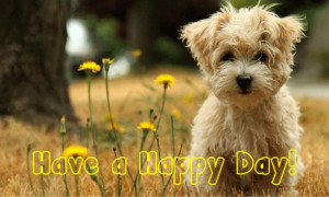 Myspace Graphics > Good Day > cute have a happy day Graphic