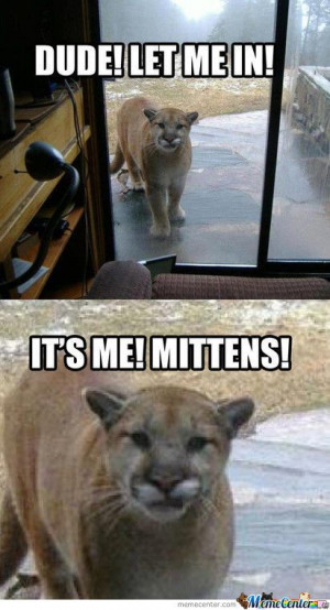 Top 30 Funny Animal Quotes and Pics #Funny memes