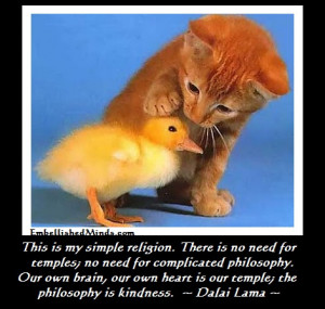 Kindness cat and bird Dalai Lama Quotes: The Philosophy is Kindness