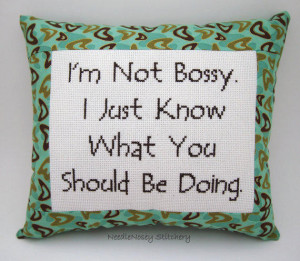 Funny Cross Stitch Pillow, Teal and Brown Pillow, Bossy Quote