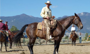 Horse Whisperer