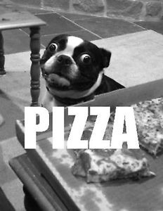 DOG-PIZZA-life-eyes-love-at-first-sight-cheesy-quotes-photo-glossy-t ...