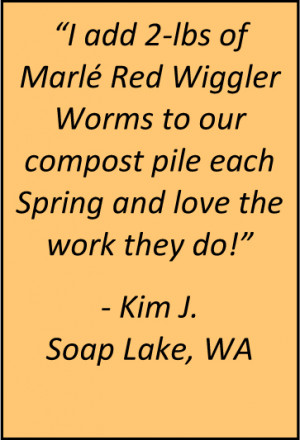 Pounds Marlé Red Wiggler Worms (approx 2000 worms)