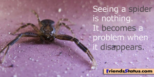 spider quotes image
