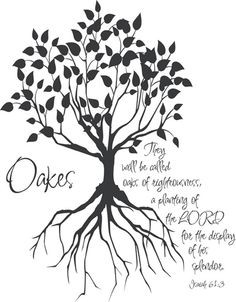 Oaks Family Tree quote for my tree in the house :) More