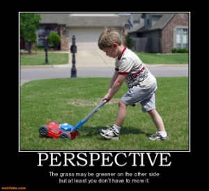 PERSPECTIVE - The grass may be greener on the other side but at least ...