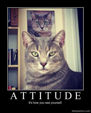 Attitude Demotivational Poster