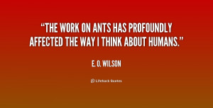 Ants with Quotes