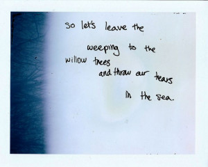 ... Quotes, Owls Cities Quotes, Weeping Willow, Owl City Lyrics, The Sea