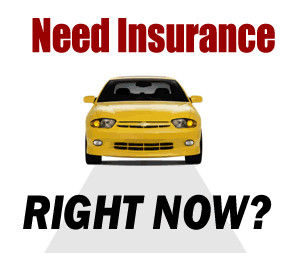 Car insurance company