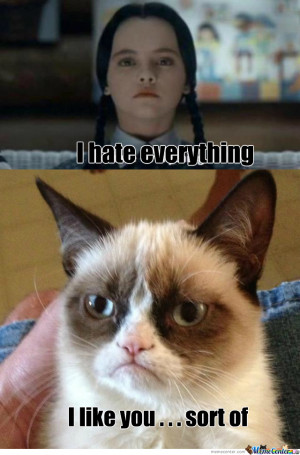 Wednesday Addams Meets Grumpy Cat