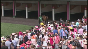 Fun facts about the Kentucky Derby | Sports - WLKY Home