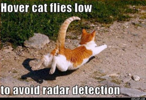 Inspirational Quote The Day