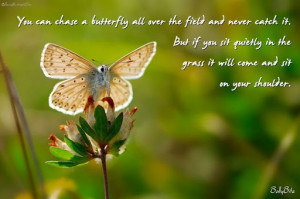 butterfly 12 jpg fw alpha q wonderful butterfly quotes dropbox2