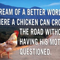 Funny Chicken Quotes