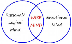 Mindfulness is balancing emotion mind and wise mind.
