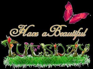have a happy tuesday quotes | Have a beautiful tuesday | DesiComments ...