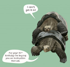 Related Pictures Animalsexfun