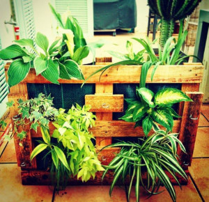 planters made from pallets