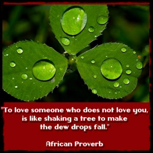 African Proverb