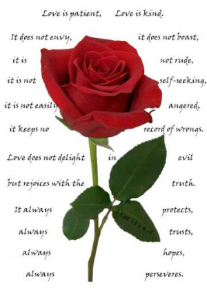 5226-12854-love-is-patient-love-is-kind-rose.jpg
