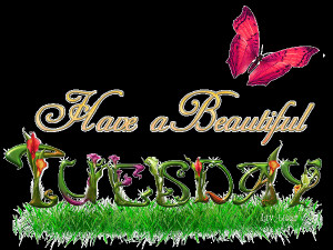 This picture was submitted by Neeti.