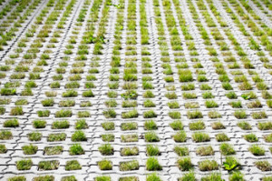 Permeable Concrete Pavers Cost