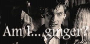 The-Tenth-Doctor-the-tenth-doctor-24205517-500-245.gif