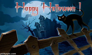 Haunted Halloween Cat