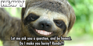 20 Sloths Quoting Epic Lines From Movies