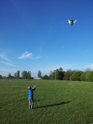 view original image )