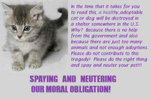 Animal “Factories” who supplylaboratories, and Animal Testing ...