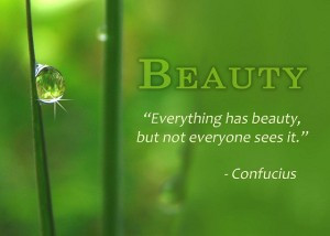 ... , Everything Has Beauty But Not Everyone Sees It ” ~ Nature Quote