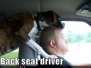 Dog Humor With Boxer