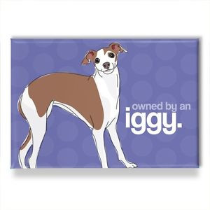... -Gifts-Refrigerator-Magnets-with-Funny-Sayings-Owned-by-an-Iggy