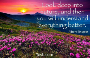 Pinned by KaoChue Lo