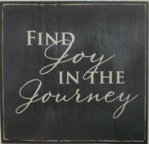 Find Joy in the Journey... - quote