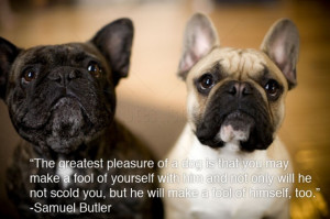 The Greatest Pleasure of a Dog – Animal Quote