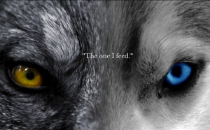 wolf poems and quotes wolf poems and quotes wolf poems and quotes the ...